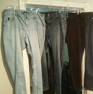 Torrid Jeans